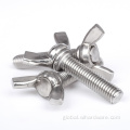 DIN316 SS304 SS316 Stainless Steel Wing Bolt